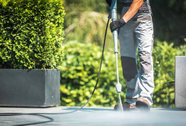 Best Solar Panel Cleaning  in Wesson, MS